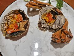 -0574龙虾的故事(东裕店)