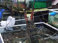 -拉威海鲜市场