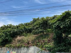 -桃源山庄·水蜜桃采摘·柴火鸡·烧烤团建(龙泉山店)