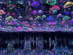 -上海梵高星空艺术馆(南京路旗舰店)