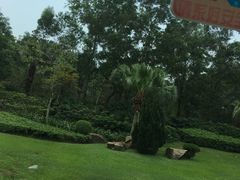 -观澜湖高尔夫球会