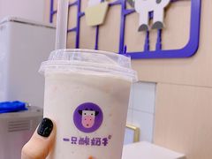 -一只酸奶牛(八一路店)
