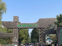 -溱湖国家湿地公园