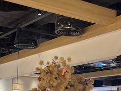 -九毛九西北菜(百信广场店)