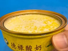 -德禄酸奶(莫家街店)