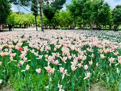 -长春公园(普阳街道)