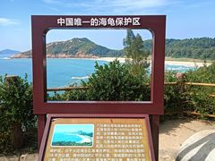 -广东惠东海龟国家级自然保护区