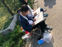 -鹅湖玫瑰文化园
