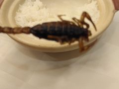 -金河半岛园林酒家(金融城店)