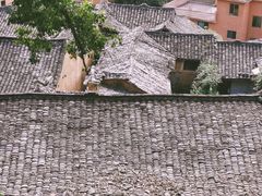 -杨家堂村