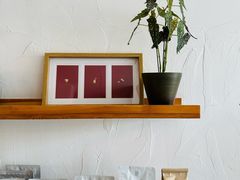 -MAISON门前杂货店