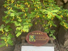 -灵溪风景区