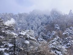 -华山风景名胜区