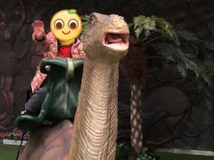 -陕西自然博物馆