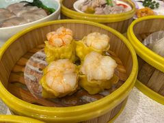 -潮江春(阳光店)