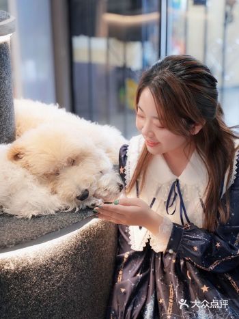 北京新店|三里屯首家换装萌宠主题体验馆