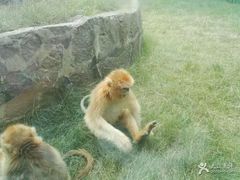 -西安秦岭野生动物园