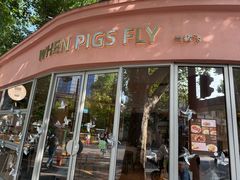 -WHEN PIGS FLY当猪飞