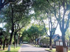 -太阳岛度假酒店