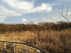 -西湖风景区-江洋畈生态公园