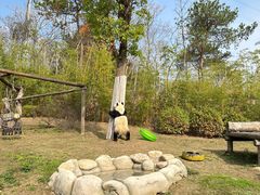 -南京汤山紫清湖生态旅游温泉度假区