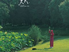 -焦山景区-万佛塔