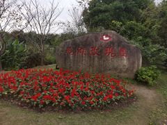 -鹅湖玫瑰文化园