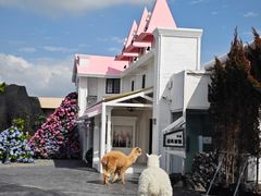 -Blue Concept Cafe&Farm·關於藍