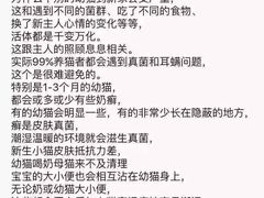 -Bastet sally猫舍购宠(静安店)
