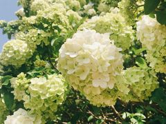-宜兴龙背山森林公园