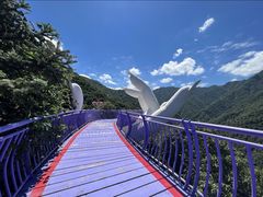 -上海体育场
