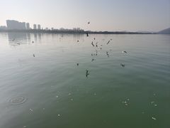 -蠡湖大桥公园