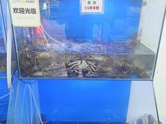 -祥鹤龙虾螃蟹