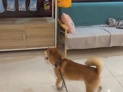 -美联众合24小时·皮肤科·外科·全科诊疗中心(华苑分院)