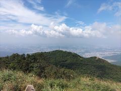 -梧桐山风景名胜区