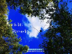 -西青郊野公园