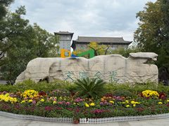 -文瀛公园