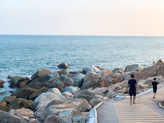 -广东惠东海龟国家级自然保护区