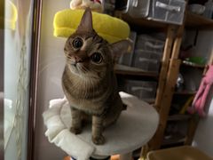 -美联众合动物医院·24h京西诊疗中心