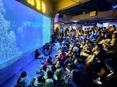 -合肥海洋世界