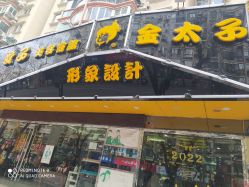 -金太子形象设计