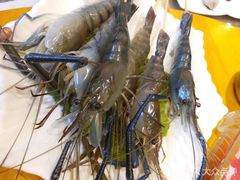 -御龙海鲜火锅(十六浦店)
