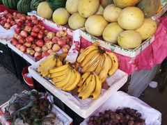 -党河风情线国家水利风景区