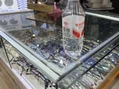 -三叶眼镜城批发市场(上海火车站店)