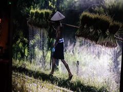 -兰木肆·云南菜(龙湖U城天街店)