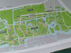 -顾村公园