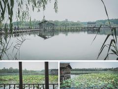 -溱湖国家湿地公园