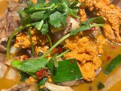 -杨氏青龙虾·羊蝎子(金盛路总店)