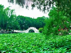 -莲池书院博物馆