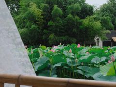 -兰亭风景区
